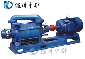 2SK型兩級(jí)水環(huán)式真空泵